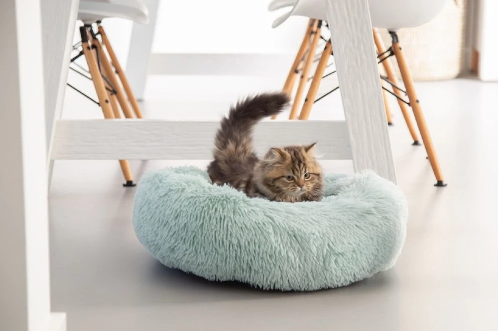 Beeztees BEETEES Liegekissen VAKO KITTEN-PLÜSCH Blau ø 50cm Für Katzen 2 Beeztees BEETEES Liegekissen VAKO KITTEN-PLÜSCH Blau ø 50cm Für Katzen – Bild 2