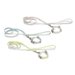 BEEZTEES Halsband PUPPY SET Collar & Leash 20-30cm/120cm Versch Farben Für Hunde