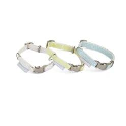 BEEZTEES Halsband PUPPY SET Collar & Leash 20-30cm/120cm Versch Farben Für Hunde 11 BEEZTEES Halsband PUPPY SET Collar & Leash 20-30cm/120cm Versch Farben Für Hunde -Karlie || KOCH Verkäufe beeztees halsband puppy set collar leash 20 30cm 120cm versch farben fuer hunde3