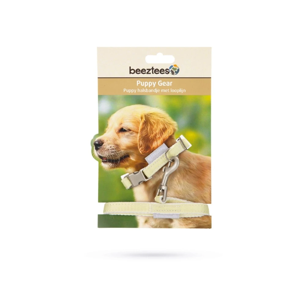BEEZTEES Halsband PUPPY SET Collar & Leash 20-30cm/120cm Versch Farben Für Hunde 5 BEEZTEES Halsband PUPPY SET Collar & Leash 20-30cm/120cm Versch Farben Für Hunde – Bild 5