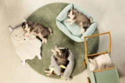 BEEZTEES Hundebett X-Cross Puppy 60cm Grau/Mintgrün Angenehm Weich Für Hunde 7 BEEZTEES Hundebett X-Cross Puppy 60cm Grau/Mintgrün Angenehm Weich Für Hunde -Karlie || KOCH Verkäufe beeztees hundebett x cross puppy 60cm grau mintgruen angenehm weich fuer hunde4