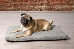 BEEZTEES Liegekissen ITO Memory Foam Grau Oder Beige Für Hunde 9 BEEZTEES Liegekissen ITO Memory Foam Grau Oder Beige Für Hunde -Karlie || KOCH Verkäufe beeztees liegekissen ito memory foam grau oder beige fuer hunde4