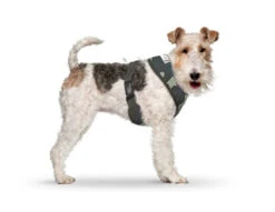 CURLI Brustgeschirr Plush Basic AIR-MESH Camouflage Für Hunde
