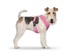CURLI Brustgeschirr Plush Basic AIR-MESH Pink Für Hunde