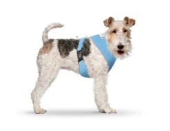 CURLI Brustgeschirr Plush Basic AIR-MESH Skyblue Für Hunde