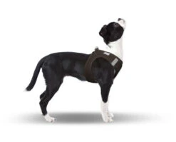 CURLI Brustgeschirr Plush Vest AIR-MESH Brown Für Hunde