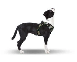 CURLI Brustgeschirr Plush Vest AIR-MESH Camouflage Für Hunde