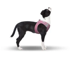 CURLI Brustgeschirr Plush Vest AIR-MESH Pink Für Hunde