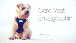 CURLI Brustgeschirr Plush Vest CORD Black Für Hunde 8 CURLI Brustgeschirr Plush Vest CORD Black Für Hunde -Karlie || KOCH Verkäufe curli brustgeschirr plush vest cord black fuer hunde3