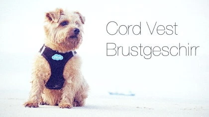 CURLI Brustgeschirr Plush Vest CORD Black Für Hunde 3 CURLI Brustgeschirr Plush Vest CORD Black Für Hunde – Bild 3