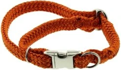 DINOLEINE Halsband KLICK-HALSBAND Polyester 11mm Größe S/30-45 Cm Für Hunde -Karlie || KOCH Verkäufe dinoleine halsband klick halsband polyester 11mm groesse s 30 45 cm fuer hunde8