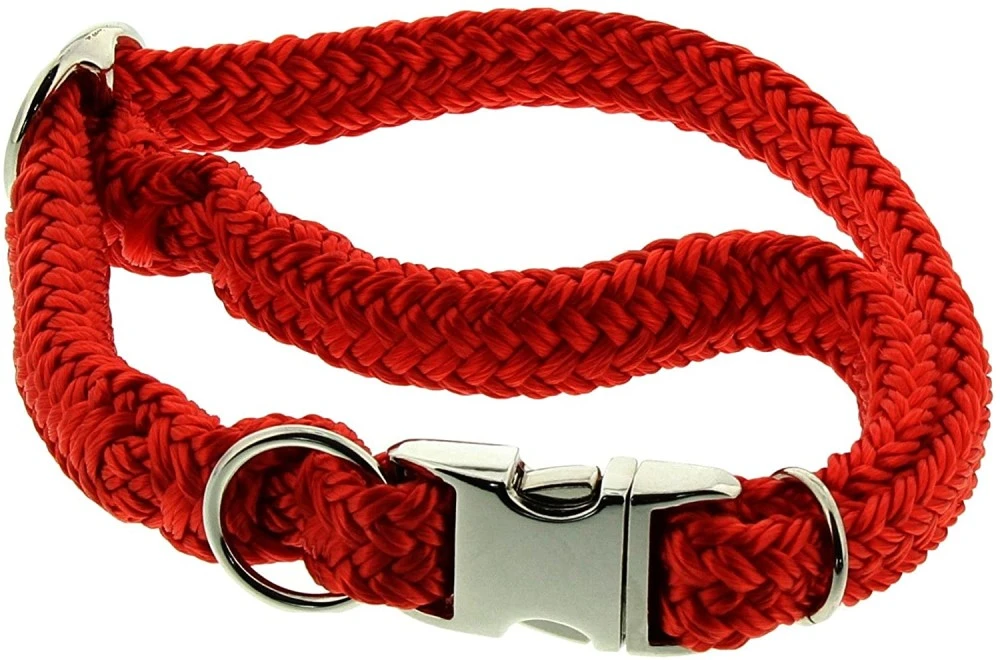 DINOLEINE Halsband KLICK-HALSBAND Polyester 8mm Größe S/30-45cm Für Hunde 2 DINOLEINE Halsband KLICK-HALSBAND Polyester 8mm Größe S/30-45cm Für Hunde – Bild 2