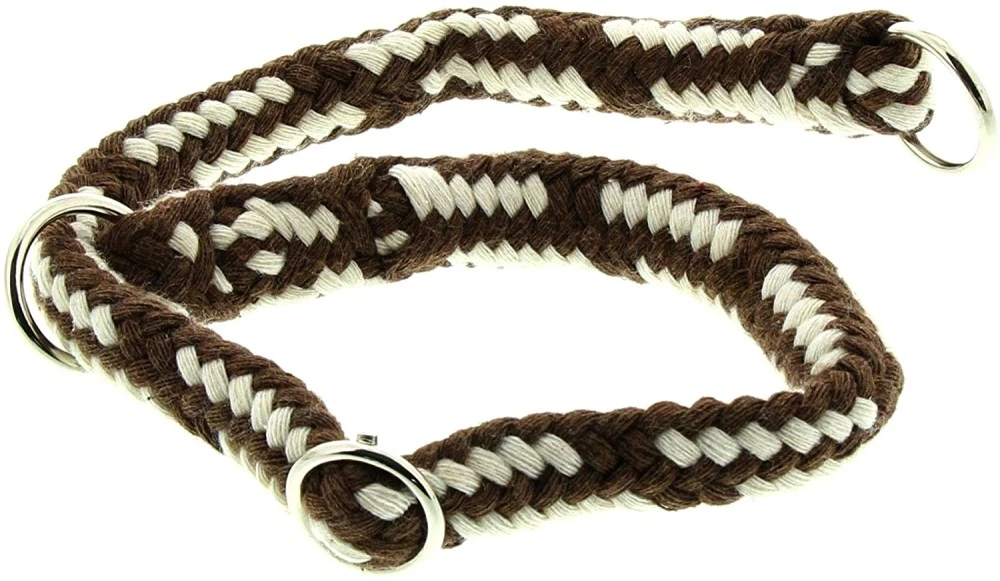DINOLEINE Halsband STOPPWÜRGER Baumwolle 14mm Größe S/45cm Für Hunde 10 DINOLEINE Halsband STOPPWÜRGER Baumwolle 14mm Größe S/45cm Für Hunde – Bild 10