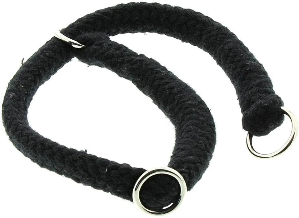 DINOLEINE Halsband STOPPWÜRGER Baumwolle 14mm Größe S/45cm Für Hunde 4 DINOLEINE Halsband STOPPWÜRGER Baumwolle 14mm Größe S/45cm Für Hunde – Bild 4