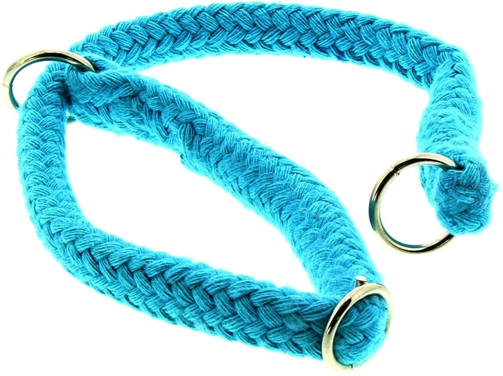 DINOLEINE Halsband STOPPWÜRGER Baumwolle 14mm Größe S/45cm Für Hunde 6 DINOLEINE Halsband STOPPWÜRGER Baumwolle 14mm Größe S/45cm Für Hunde – Bild 6