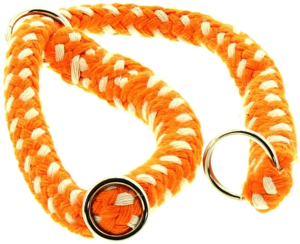 DINOLEINE Halsband STOPPWÜRGER Baumwolle 14mm Größe XS/35cm Für Hunde 4 DINOLEINE Halsband STOPPWÜRGER Baumwolle 14mm Größe XS/35cm Für Hunde – Bild 4