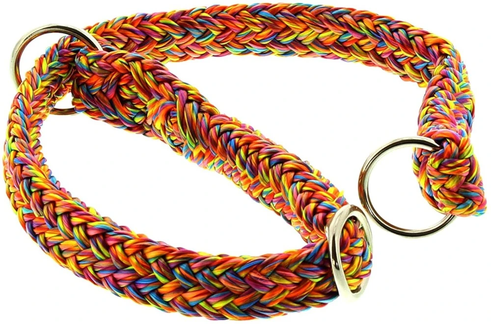 DINOLEINE Halsband STOPPWÜRGER Polyester 11mm Größe S/45cm Für Hunde 6 DINOLEINE Halsband STOPPWÜRGER Polyester 11mm Größe S/45cm Für Hunde – Bild 6