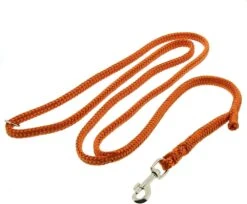 DINOLEINE Leine Polyester Mit EASY-LOCKING-SYSTEM Ø 8mm 130-220cm Für Hunde -Karlie || KOCH Verkäufe dinoleine leine polyester mit easy locking system r 8mm 130 220cm fuer hunde7