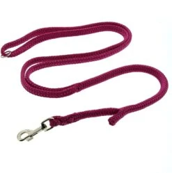 DINOLEINE Leine Polyester Mit EASY-LOCKING-SYSTEM Ø 8mm 130-220cm Für Hunde -Karlie || KOCH Verkäufe dinoleine leine polyester mit easy locking system r 8mm 130 220cm fuer hunde9