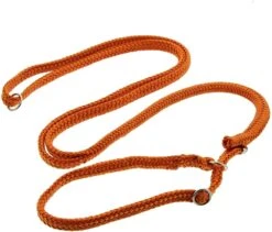 DINOLEINE Leine RETRIEVERLEINE Polyester Mit Easy-Locking-System 11mm Für Hunde -Karlie || KOCH Verkäufe dinoleine leine retrieverleine polyester mit easy locking system 11mm fuer hunde3