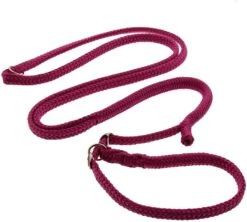 DINOLEINE Leine RETRIEVERLEINE Polyester Mit Easy-Locking-System 8mm Für Hunde -Karlie || KOCH Verkäufe dinoleine leine retrieverleine polyester mit easy locking system 8mm fuer hunde4