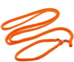 DINOLEINE Leine RETRIEVERLEINE Polyester Mit Easy-Locking-System 8mm Für Hunde -Karlie || KOCH Verkäufe dinoleine leine retrieverleine polyester mit easy locking system 8mm fuer hunde6