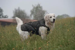 DOGBITE Regenjacke MATT Fexible-System Schwarz Mantel Für Hunde -Karlie || KOCH Verkäufe dogbite regenjacke matt fexible system schwarz mantel fuer hunde3