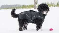 DOGBITE Winterjacke MATT Fexible-System Schwarz Mantel Für Hunde -Karlie || KOCH Verkäufe dogbite winterjacke matt fexible system schwarz mantel fuer hunde3