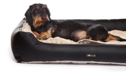 DOGIUS Liegebett BETT KUNSTLEDER Größe M 80 X 55 X 17 Cm Für Hunde -Karlie || KOCH Verkäufe dogius liegebett bett kunstleder groesse m 80 x 55 x 17 cm fuer hunde7