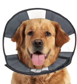 HOLLAND ANIMAL CARE Halskrause ZENPET PROCONE XLarge 45,7 - 58,4cm Für Hunde