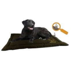 HOLLAND ANIMAL CARE Matte BODYGUARD TRANSPORT Braun Versch. Größen Für Hunde 5 HOLLAND ANIMAL CARE Matte BODYGUARD TRANSPORT Braun Versch. Größen Für Hunde -Karlie || KOCH Verkäufe holland animal care matte bodyguard transport braun versch groessen fuer hunde3