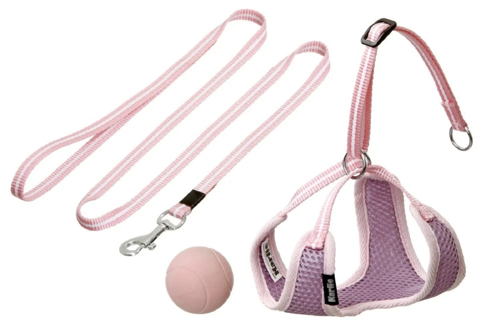 KARLIE Brustgeschirr WELPENGESCHIRR Und LEINE Mit BALL Für Kleine Hunde 2 KARLIE Brustgeschirr WELPENGESCHIRR Und LEINE Mit BALL Für Kleine Hunde – Bild 2