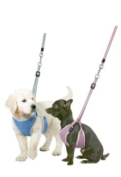 KARLIE Brustgeschirr WELPENGESCHIRR Und LEINE Mit BALL Für Kleine Hunde 5 KARLIE Brustgeschirr WELPENGESCHIRR Und LEINE Mit BALL Für Kleine Hunde -Karlie || KOCH Verkäufe karlie brustgeschirr welpengeschirr und leine mit ball fuer kleine hunde3