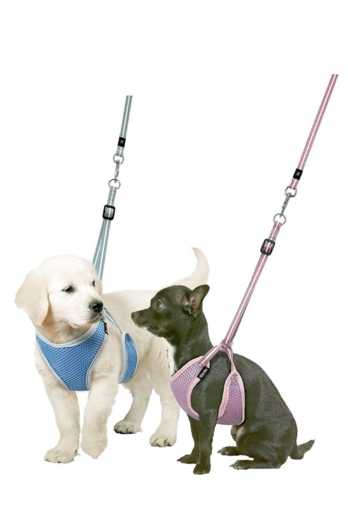 KARLIE Brustgeschirr WELPENGESCHIRR Und LEINE Mit BALL Für Kleine Hunde 3 KARLIE Brustgeschirr WELPENGESCHIRR Und LEINE Mit BALL Für Kleine Hunde – Bild 3