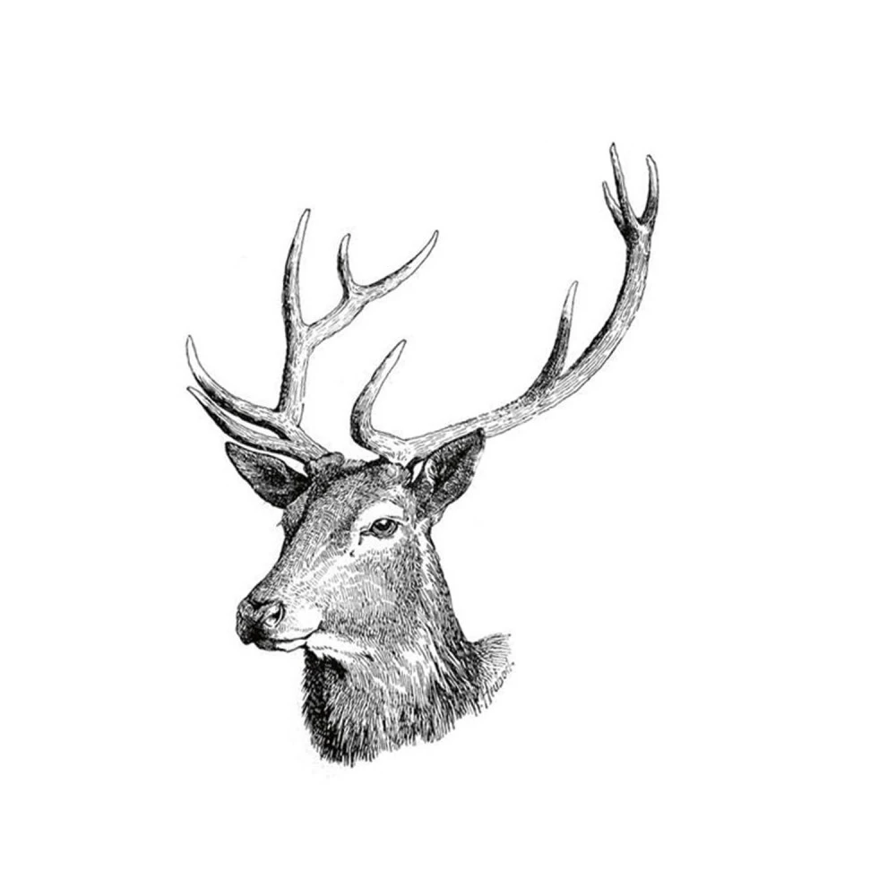 KARLIE Führleine NORDIC LEINE Hirschleder Farbe BISCUIT Für Hunde 3 KARLIE Führleine NORDIC LEINE Hirschleder Farbe BISCUIT Für Hunde – Bild 3