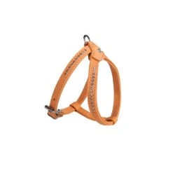 KARLIE Geschirr BUFFALO Mit Strass Hellbraun 25-32cm 10mm Leder Für Hunde