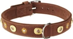 KARLIE Halsband Buffalo Deco 24mm 35cm Braun Mit Ornament Für Hunde