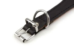 KARLIE Halsband RONDO Leder Schwarz 60mm 55cm Unterlegt Für Windhunde 9 KARLIE Halsband RONDO Leder Schwarz 60mm 55cm Unterlegt Für Windhunde -Karlie || KOCH Verkäufe karlie halsband rondo leder schwarz 60mm 55cm unterlegt fuer windhunde3