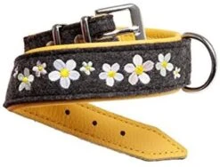 KARLIE Halsband SOLEIL Filz/Leder 55cm 35mm Anthrazit/gelb Unterlegt Für Hunde -Karlie || KOCH Verkäufe karlie halsband soleil filz leder 55cm 35mm anthrazit gelb unterlegt fuer hunde3