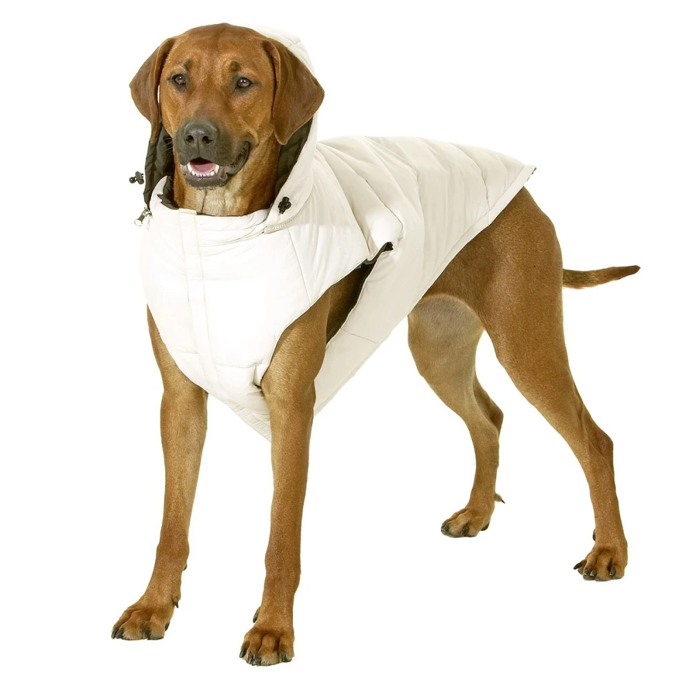 KARLIE Hunde Wendeweste JACKY Mit Kapuze Grün/Beige 1 KARLIE Hunde Wendeweste JACKY Mit Kapuze Grün/Beige