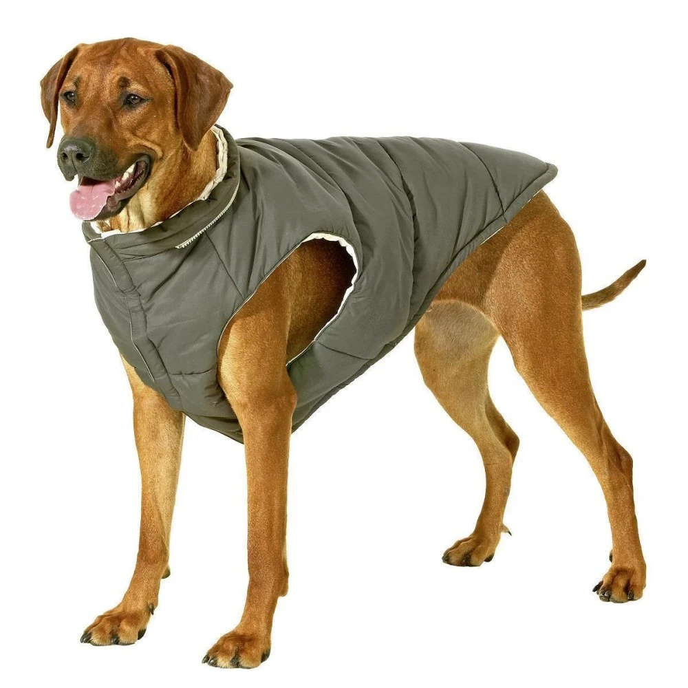 KARLIE Hunde Wendeweste JACKY Mit Kapuze Grün/Beige 2 KARLIE Hunde Wendeweste JACKY Mit Kapuze Grün/Beige – Bild 2