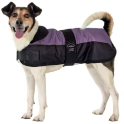 KARLIE Hundemantel EISBÄR LILA Verschiedene Größen Für Hunde