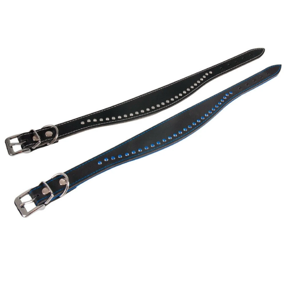 KARLIE Lederhalsband CHIC Strassbesatz Schwarz/Blau Oder Schwarz/Grau Für Hunde 1 KARLIE Lederhalsband CHIC Strassbesatz Schwarz/Blau Oder Schwarz/Grau Für Hunde