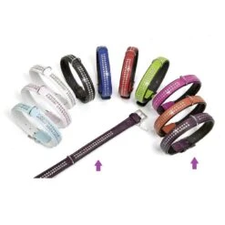 KARLIE Lederhalsband VINTAGE STRASS Violett 45cm Schwarz Unterlegt Für Hunde