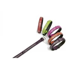 KARLIE Lederhalsband VINTAGE STRASS Violett 45cm Schwarz Unterlegt Für Hunde -Karlie || KOCH Verkäufe karlie lederhalsband vintage strass violett 45cm schwarz unterlegt fuer hunde4