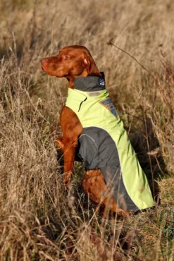 KARLIE TOUCHDOG Hundemantel OUTDOOR Gelb CRASH COAT Für Hündinnen Und Rüden 9 KARLIE TOUCHDOG Hundemantel OUTDOOR Gelb CRASH COAT Für Hündinnen Und Rüden -Karlie || KOCH Verkäufe karlie touchdog hundemantel outdoor gelb crash coat fuer huendinnen und rueden5