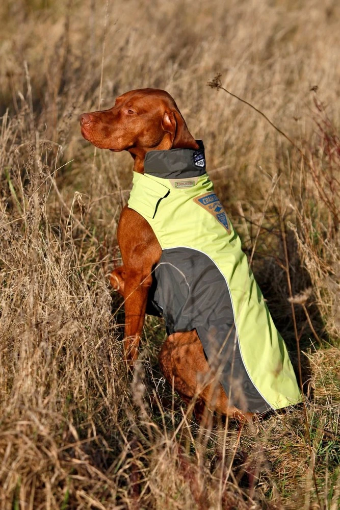 KARLIE TOUCHDOG Hundemantel OUTDOOR Gelb CRASH COAT Für Hündinnen Und Rüden 5 KARLIE TOUCHDOG Hundemantel OUTDOOR Gelb CRASH COAT Für Hündinnen Und Rüden – Bild 5
