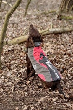 KARLIE TOUCHDOG Hundemantel OUTDOOR TIGER-Logo 2in1 ROT Für Hündinnen Und Rüden 7 KARLIE TOUCHDOG Hundemantel OUTDOOR TIGER-Logo 2in1 ROT Für Hündinnen Und Rüden -Karlie || KOCH Verkäufe karlie touchdog hundemantel outdoor tiger logo 2in1 rot fuer huendinnen und rueden4