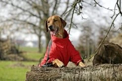 KARLIE TOUCHDOG Hundemantel OVERALL Gelb TIGER-Logo Für Hündinnen Und Rüden 7 KARLIE TOUCHDOG Hundemantel OVERALL Gelb TIGER-Logo Für Hündinnen Und Rüden -Karlie || KOCH Verkäufe karlie touchdog hundemantel overall gelb tiger logo fuer huendinnen und rueden4