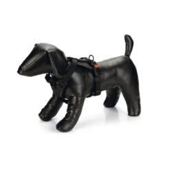 KARLIE Y-Geschirr ART SPORTIV Premium Neopren Versch. Größen Farben Für Hunde